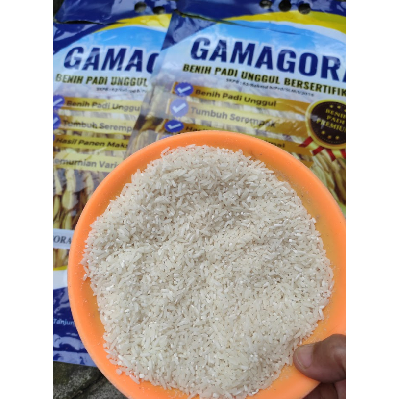Beras Pulen Gamagora-7 Inovasi UGM Panen Sendiri @KebonAfid