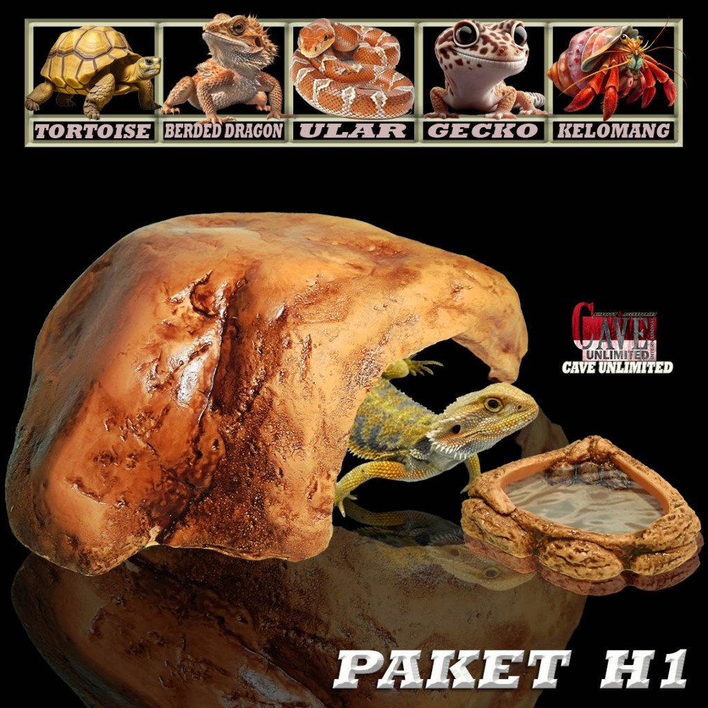 PAKET HC H1 GRADE A HIDING CAVE+WATERDISH REPTILE SEPAKET RUMAH GOA SEMBUNYI+TEMPAT MAKAN MINUM ULAR