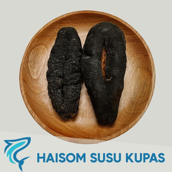 PER PCS TERIPANG SUSU KUPAS TANGGUNG  - HOISOM TRIPANG SUSU KUPAS UKURAN 150-200 GR