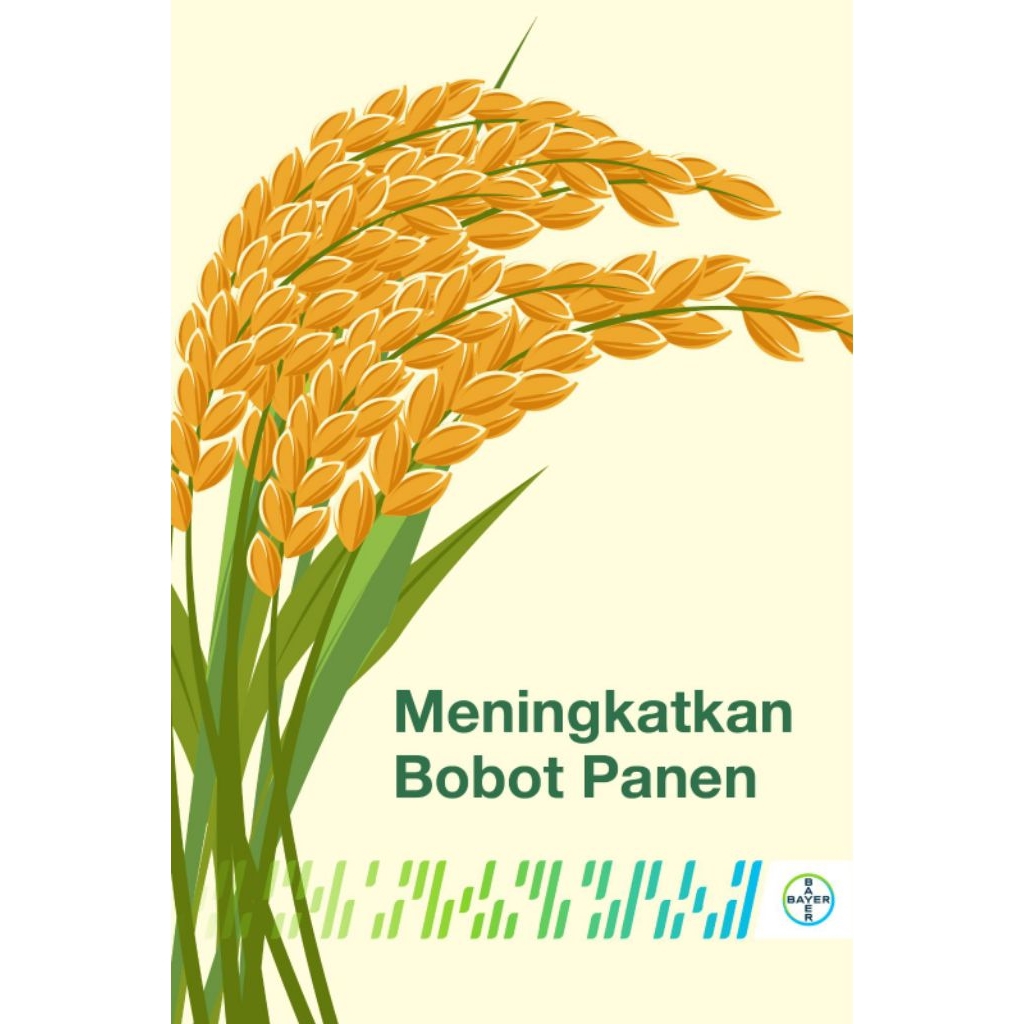 Meningkatkan Bobot Panen Ambition 1 Liter ,Vayego 100 ml ,Nativo 50 gram
