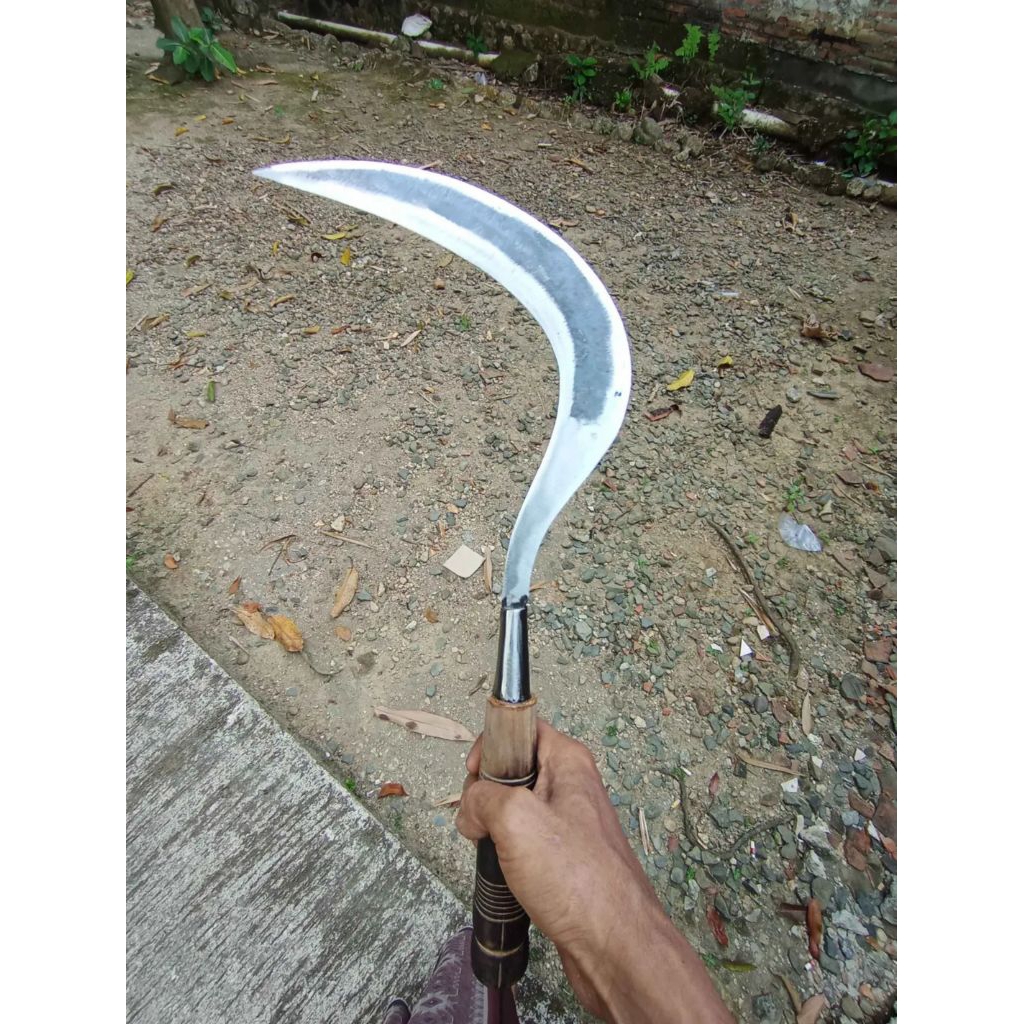 Aret/Sabit Rumput sepuhan tua