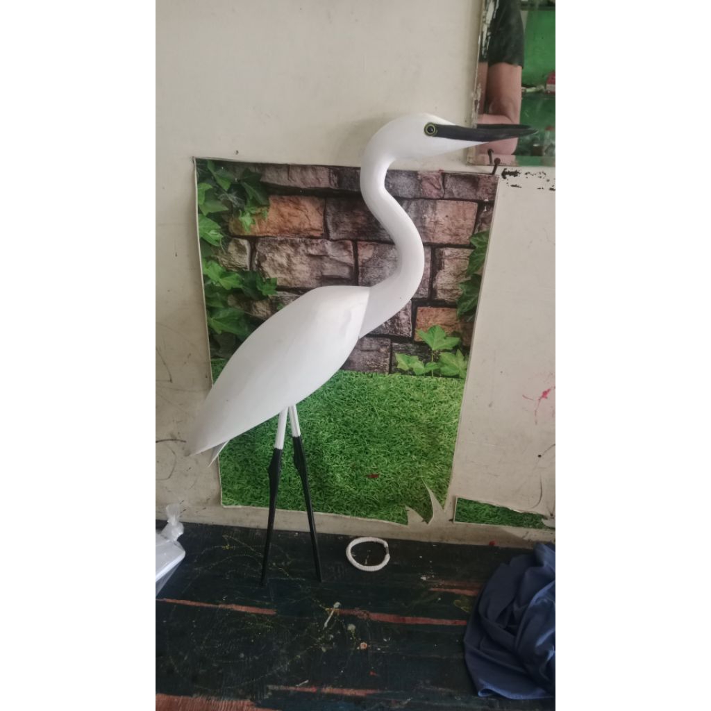 jontrot burung kuntul