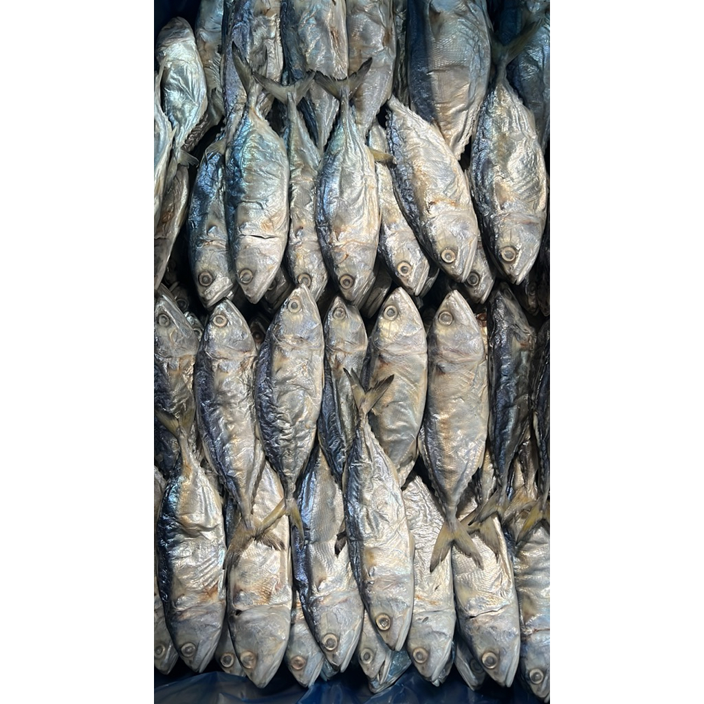 Ikan Asin Gembung Peda