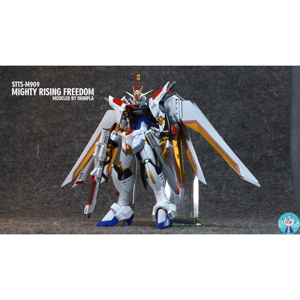 HG Rising Freedom Gundam Mighty Freedom ver. Diiinpla