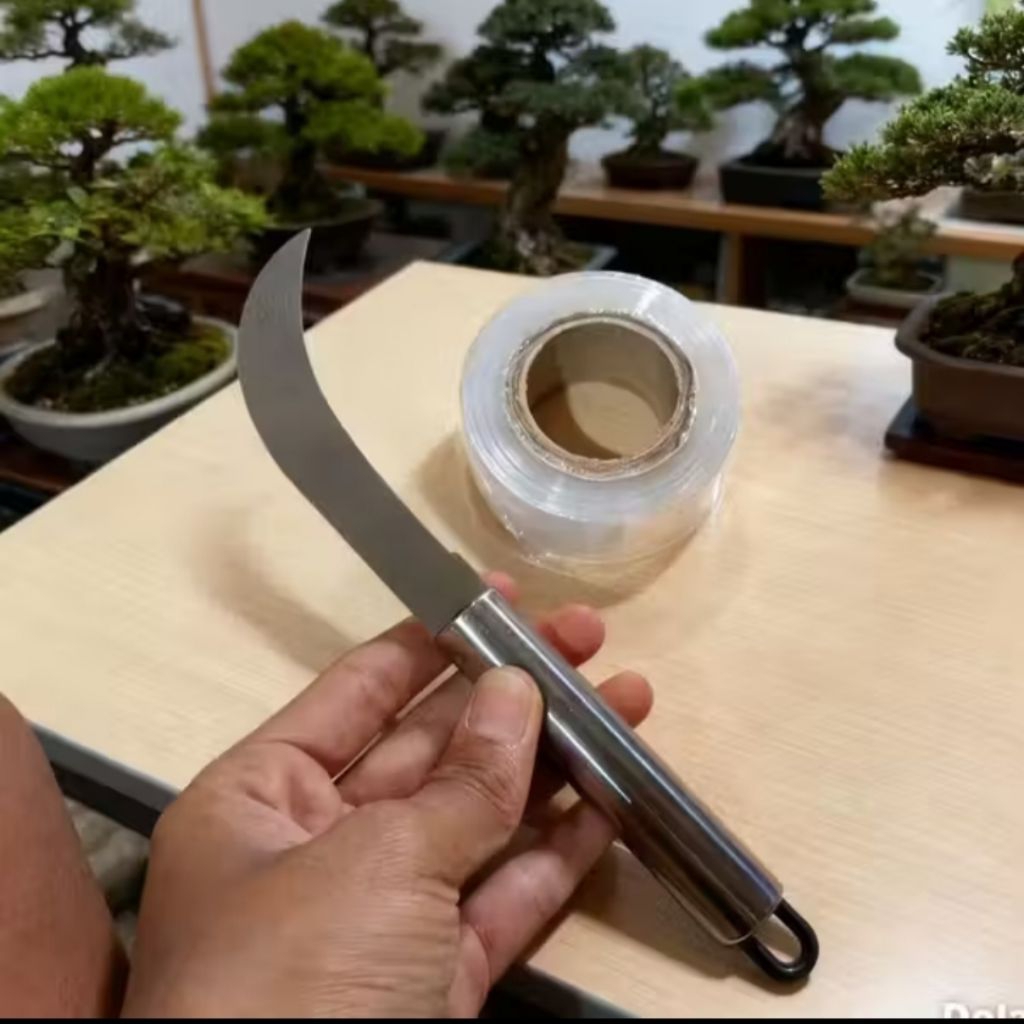 Paket Pisau Okulasi Grafting & Grafting Tape Cangkok Alat Berkebun Tanaman