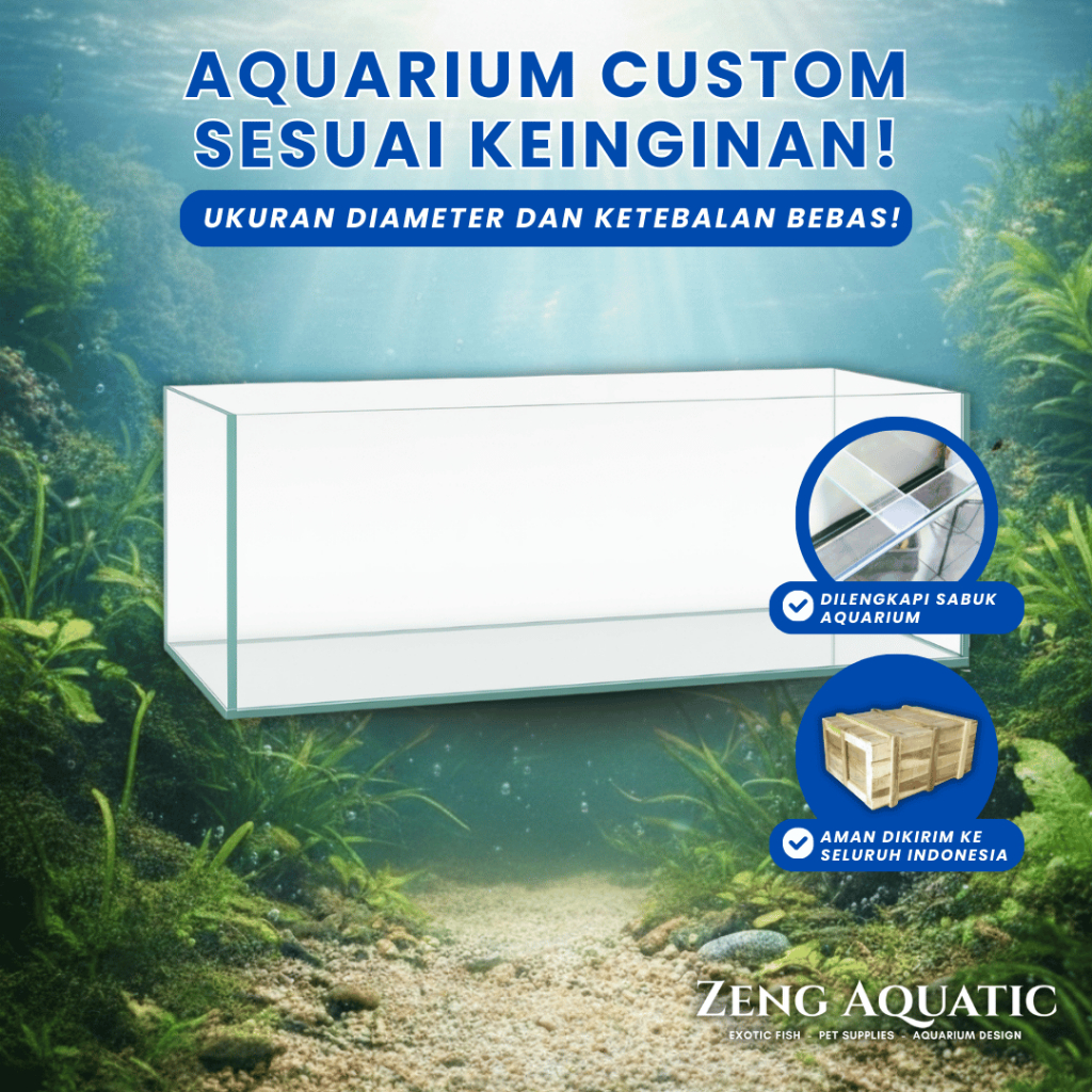 Aquarium Kaca Bening Asahi Non Tempered Kaca Tebal 5Mm 10Mm 12Mm Custom Ukuran Air Tawar & Laut by Z
