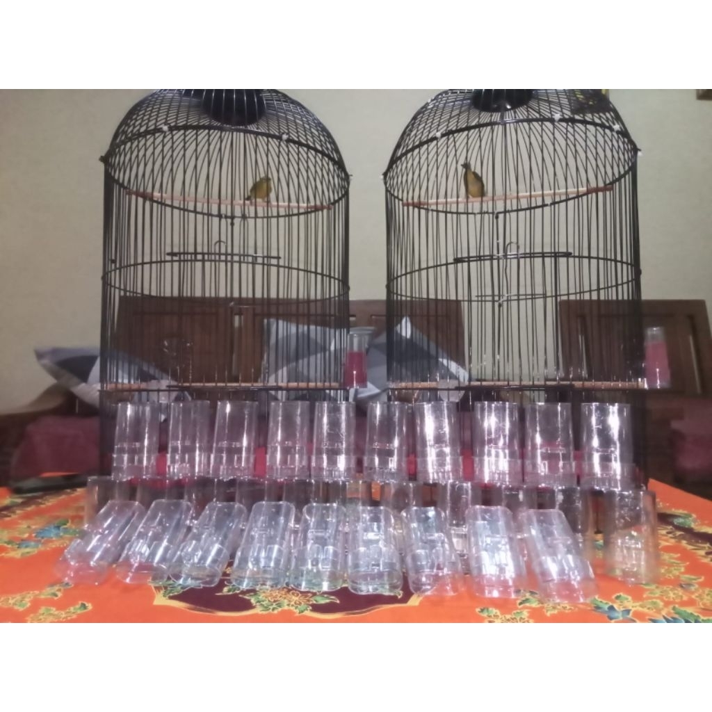 Dispenser/Cepuk Pakan untuk semua jenis burung