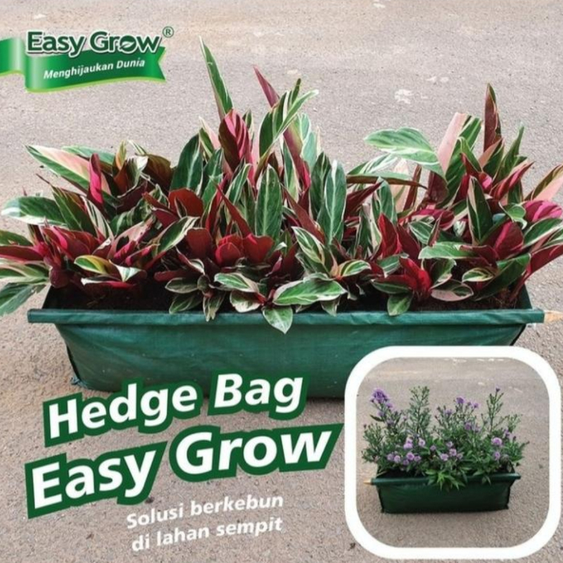 EASY GROW Hedge Bag L Anti Pecah HDPE 40x40x100cm Pot Panjang Hijau