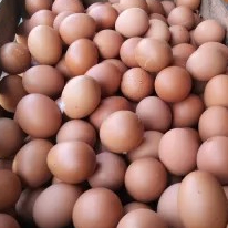 TELOR AYAM NEGRII OMEGA 1 KG 1kg