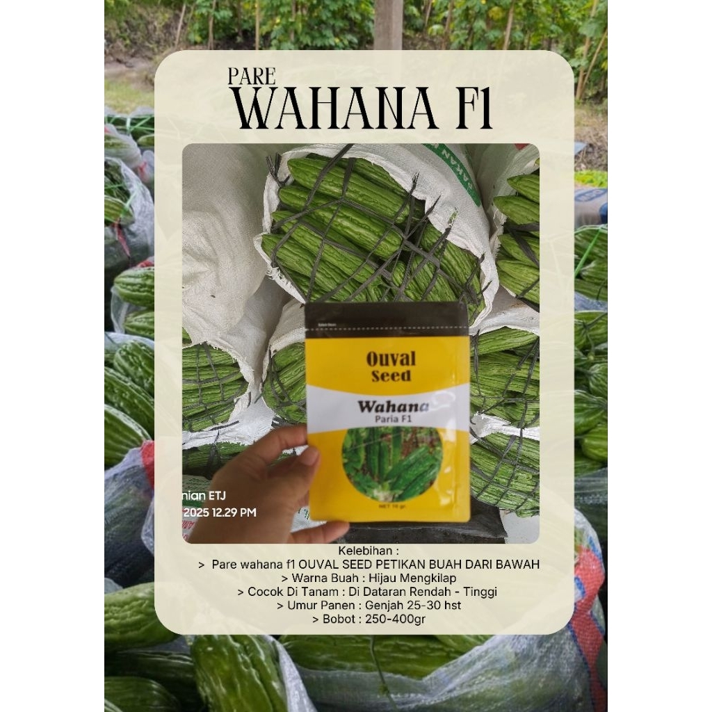 Benih Pare Hibrida Wahana F1 10 gram Ouval Seed Benih Unggul
