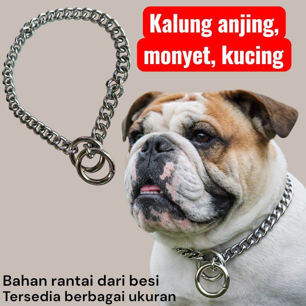 kalung anabul kalung monyet, kucing, anjing kecil bahan rantai besi bisa request ukuran