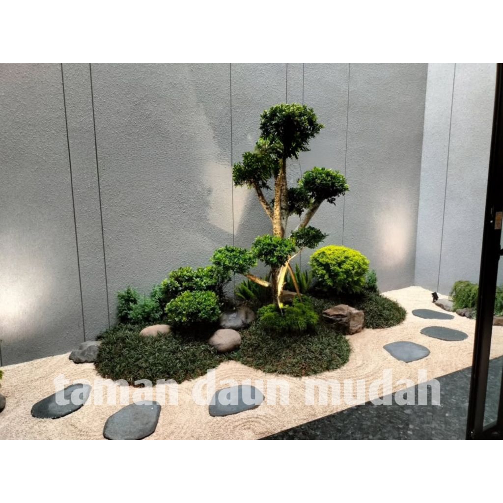 taman zen garden / taman bonsai beringin elegant