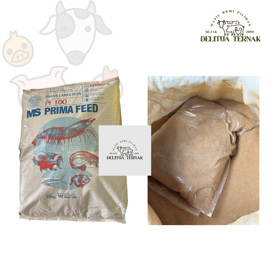 PF 100 MS Prima Feed Per 1 Kg - Pakan Larva Ikan & Udang