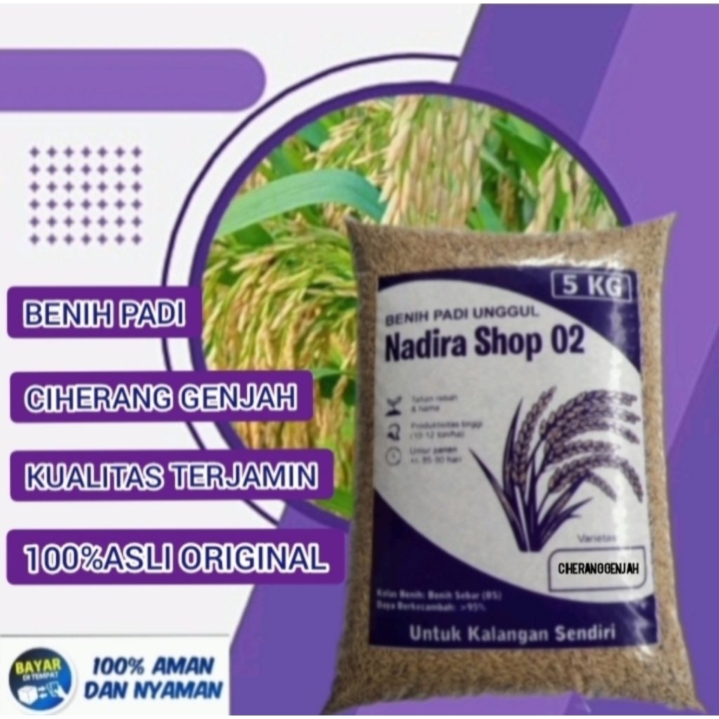 Benih bibit padi ciherang genjah kemasan 5kg kualitas terjamin