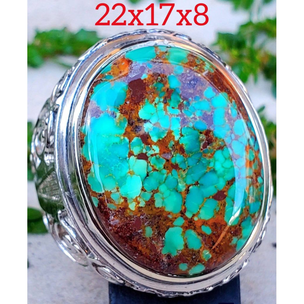 Pirus Persia ceplok kura