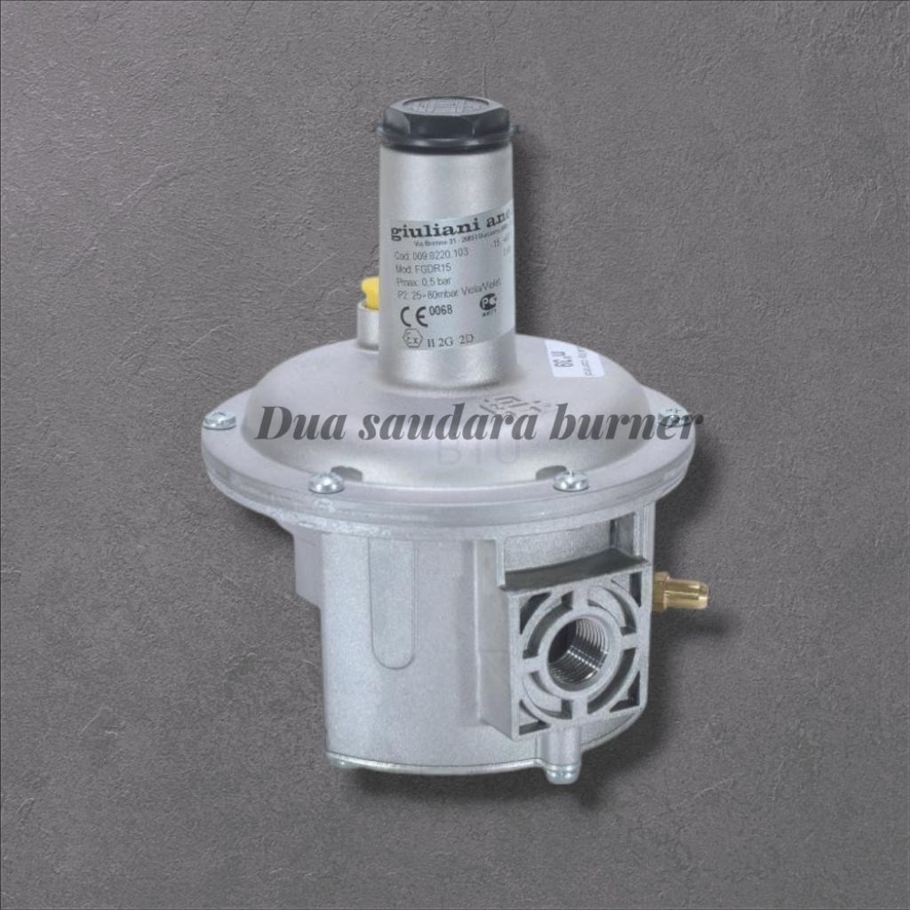 Gas Regulator FGDR15 GIULIANI ANELLO