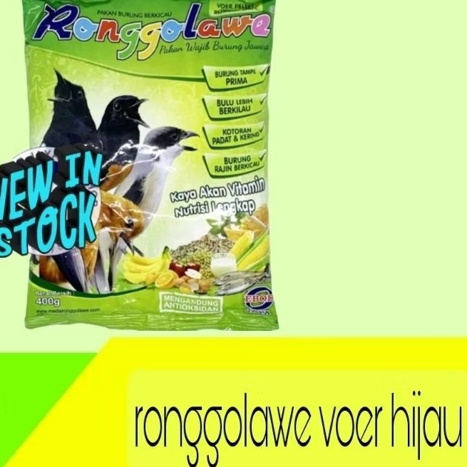 ronggolawe hijau / kuning Pur burung clasic burung murai Kacer pleci ebodjaya