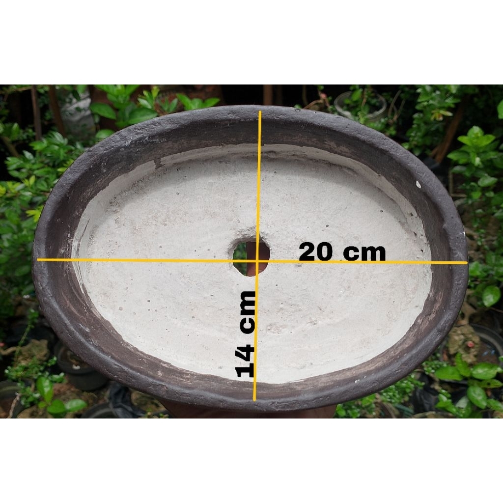 Pot bonsai mame dari bahan semen