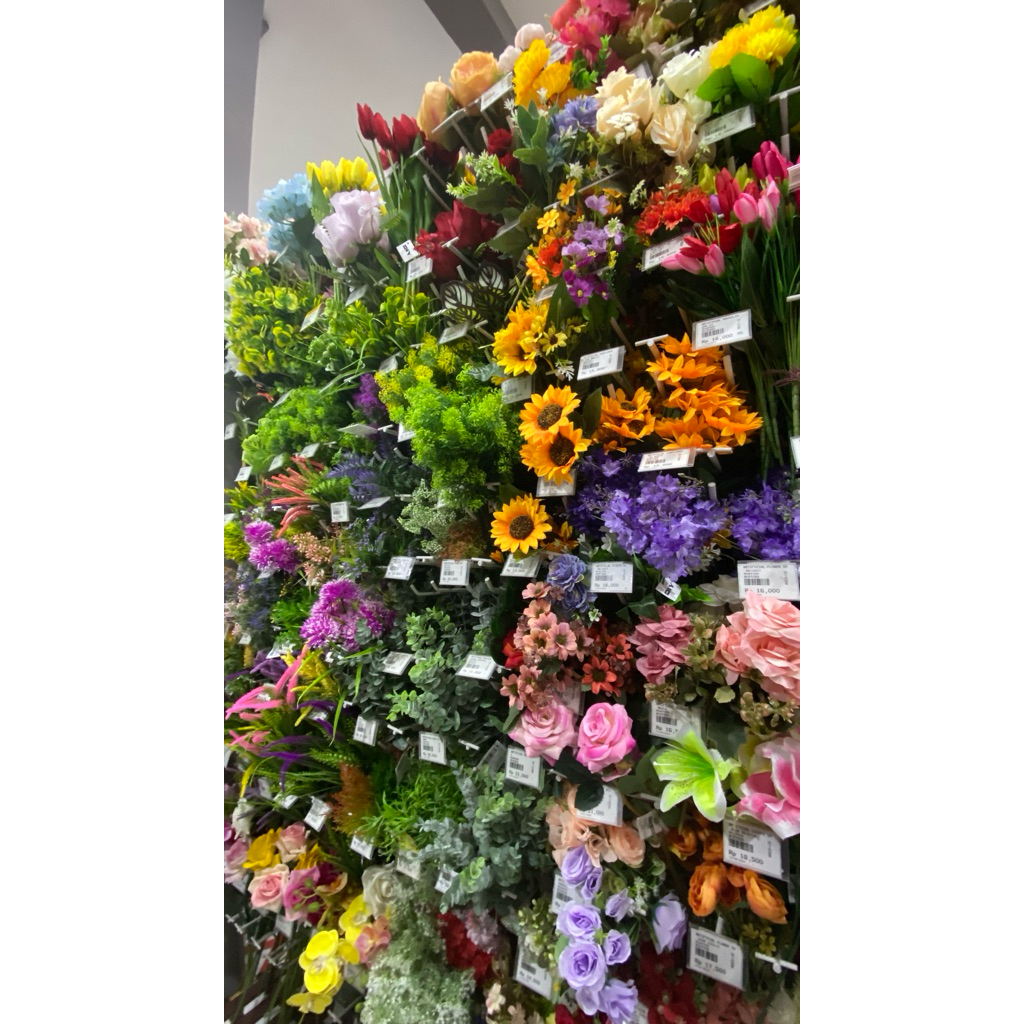 jaket olga uv reytorrm