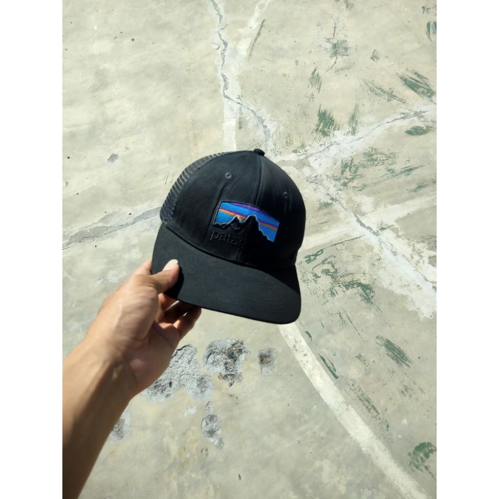 Patagonia TruckerHat