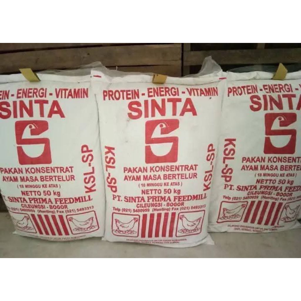 Pakan Ayam Petelur 50 kg