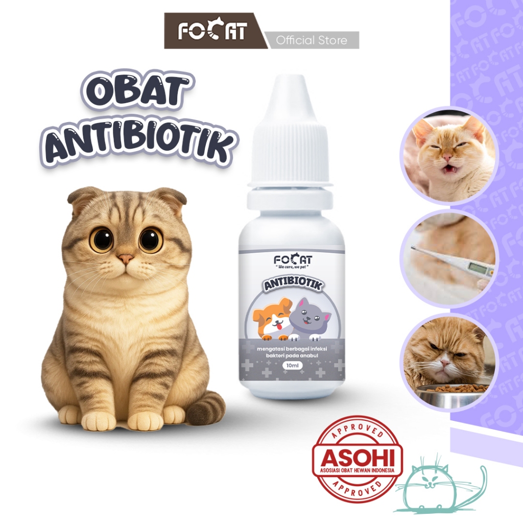 [ASOHI CERTIFIED] FOCAT Obat Tetes Antibiotik Untuk Kucing Anjing N55 Antibiotic Drops 10ml