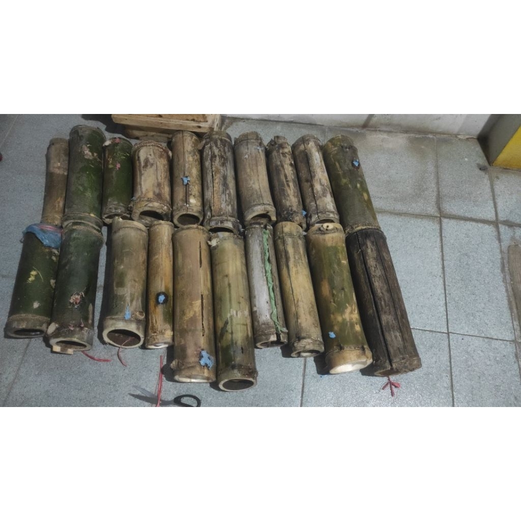 Lebah klanceng Drescheri Bambu