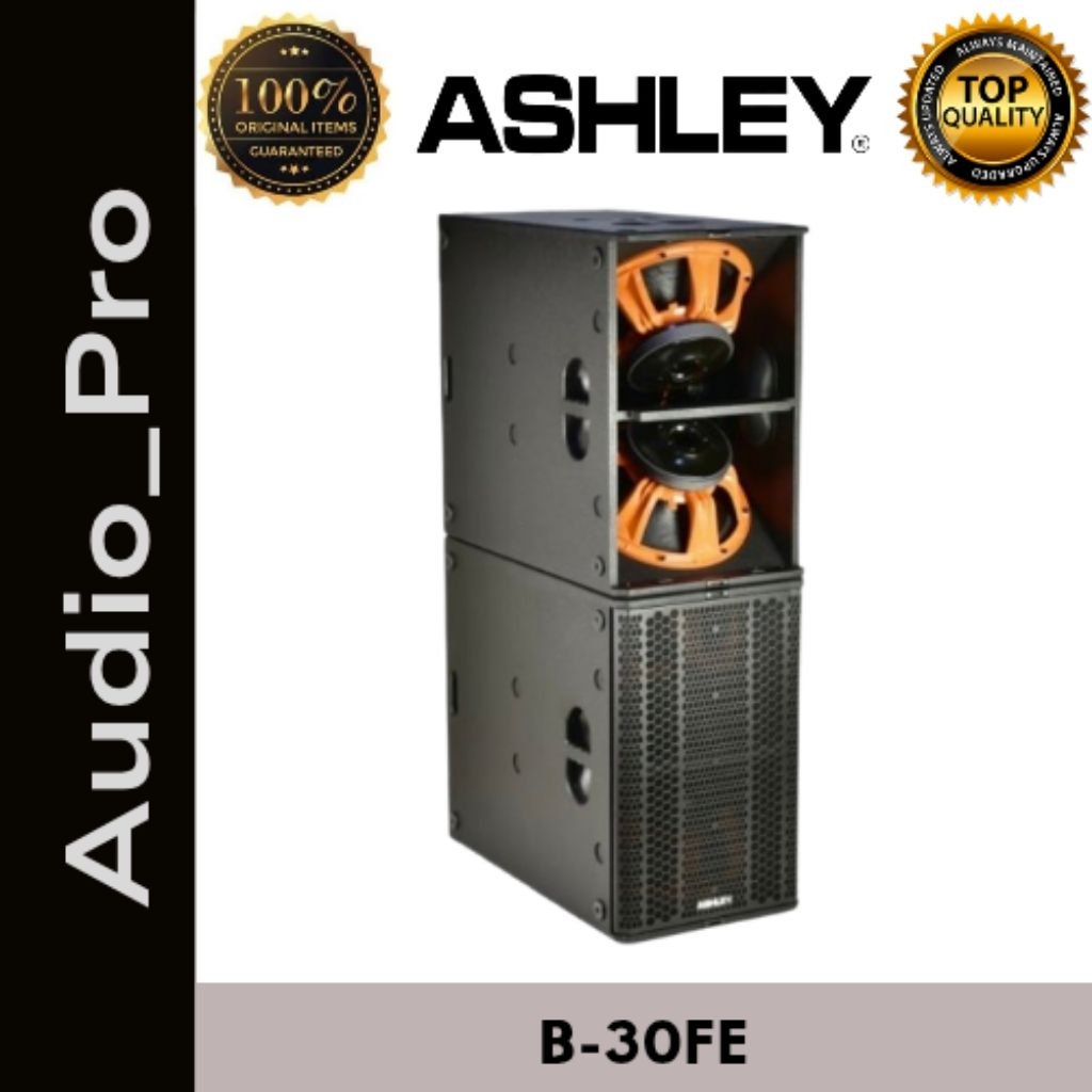 LOWPACK SUBWOOFER PASIF ASHLEY B-30FE 15inch x 2 woofer ORIGINAL