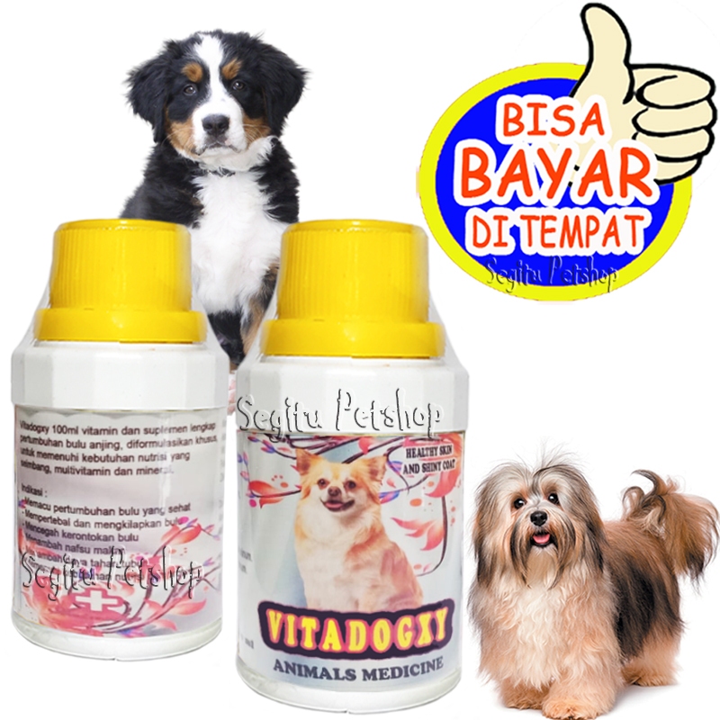 Vitamin Penumbuh Bulu Anjing Pelebat Anti Rontok Vitadogxy