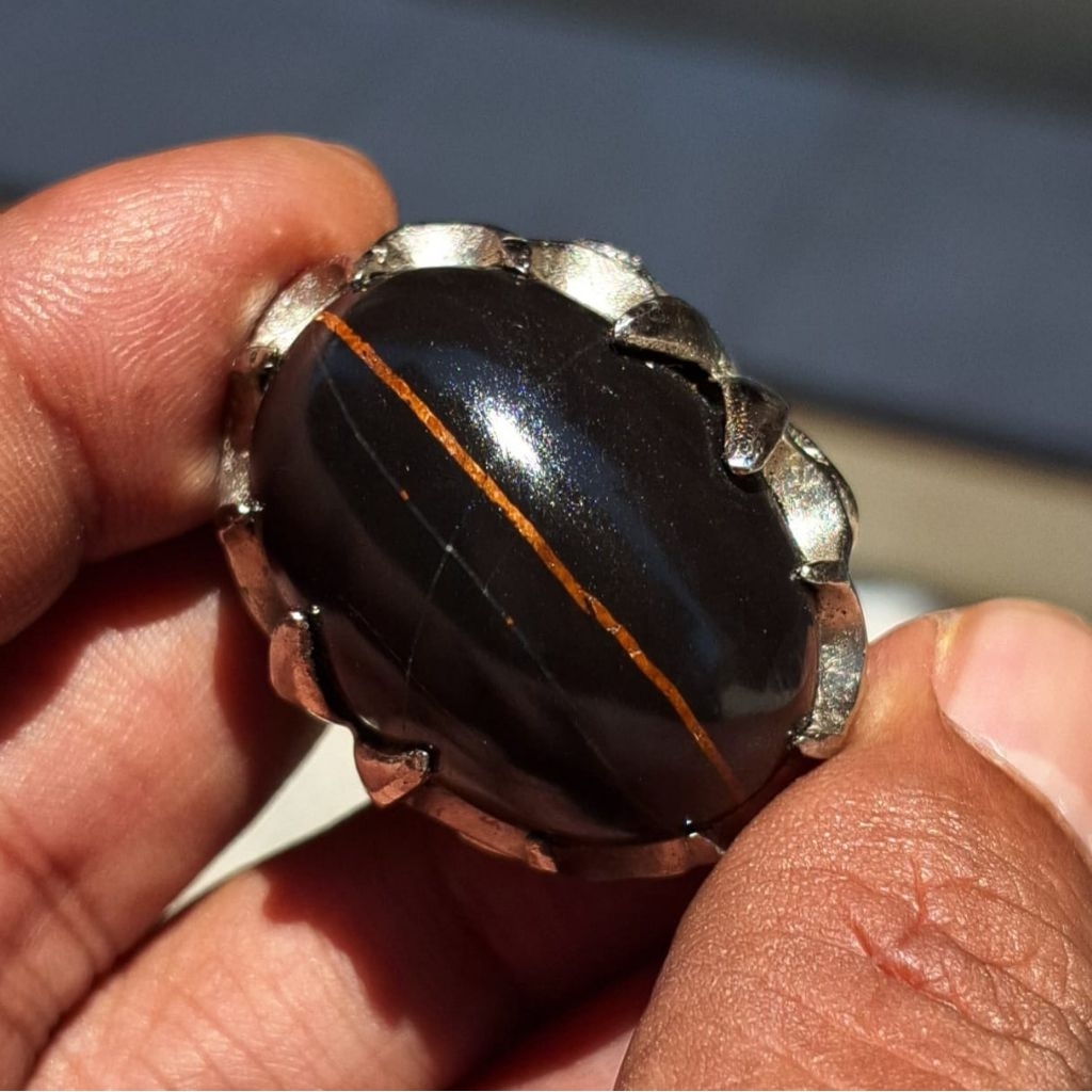 batu akik Fosil kelor kendit kuning