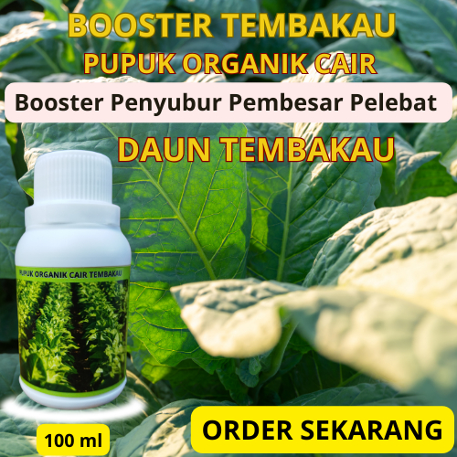 Pupuk Daun Tembakau | Booster Pembesar Penebal Pelebat Penyubur Daun Tembakau | Penambah Aroma Daun.