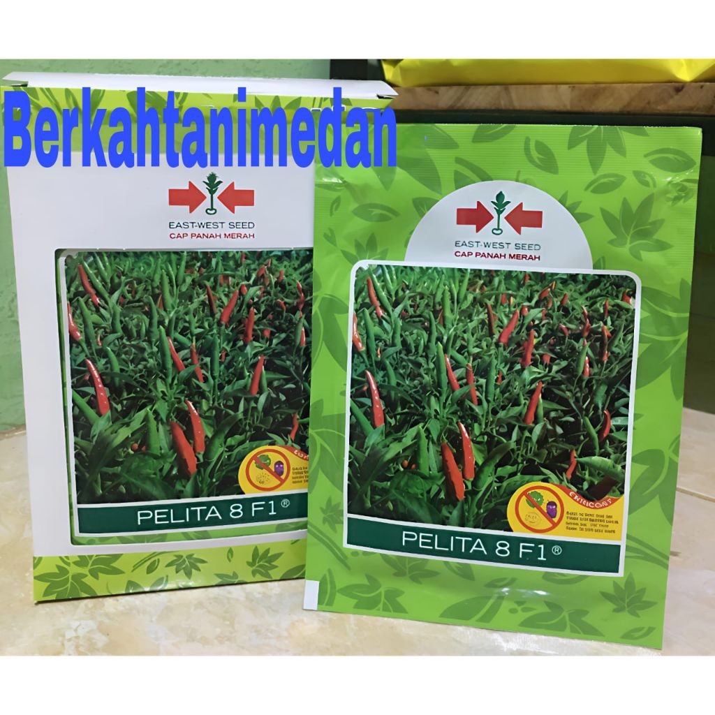 Benih Cabe Rawit Pelita 8 F1 isi 2250 butir