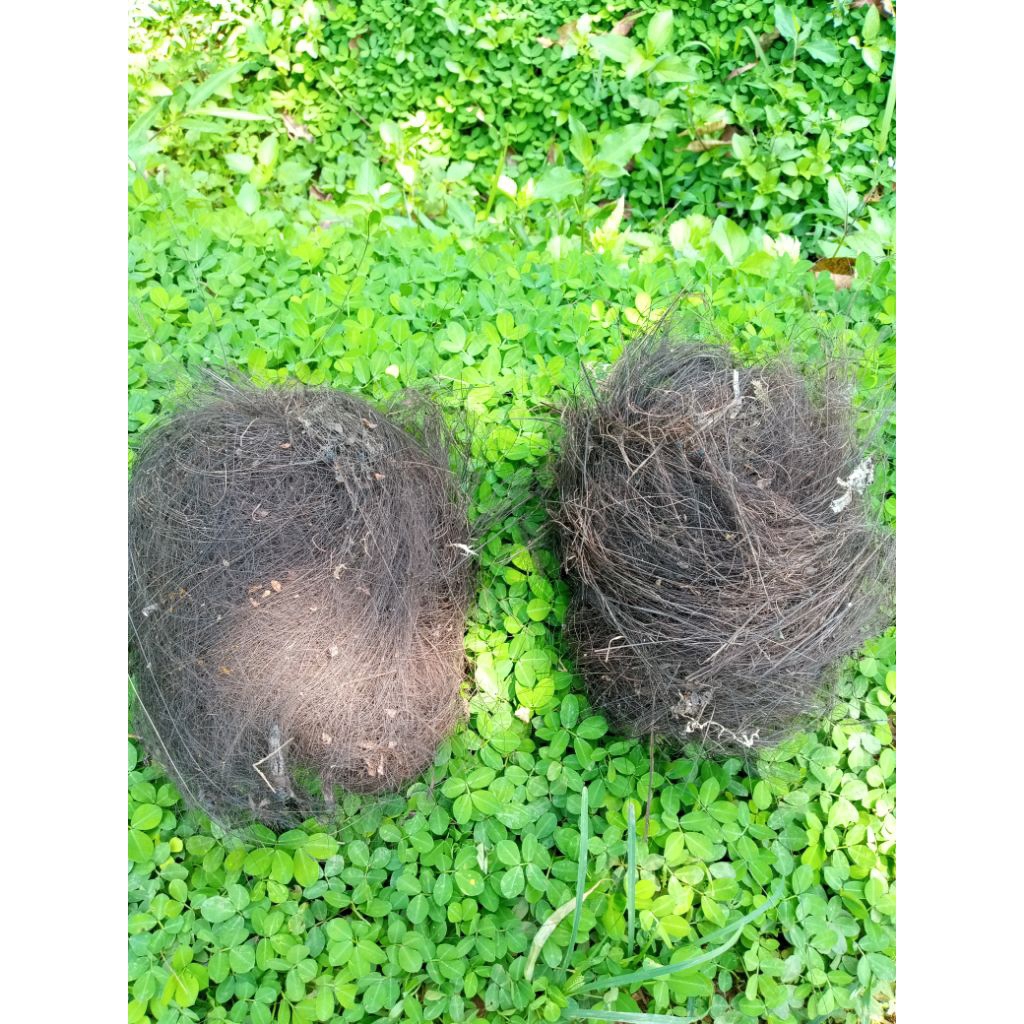 2 buah injuk saringan pipa peralon dan resapan air siap pakai