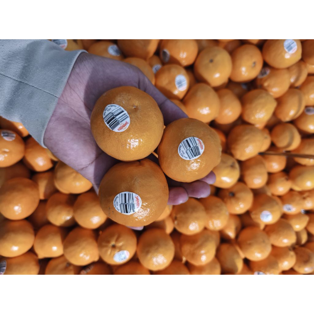 Buah jeruk summerina Mandarin manis segar super Australia 1 kg