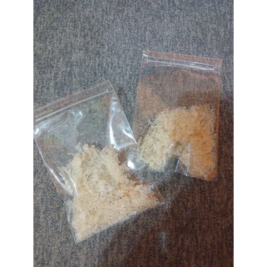 Sarang burung walet Hancuran Kasar