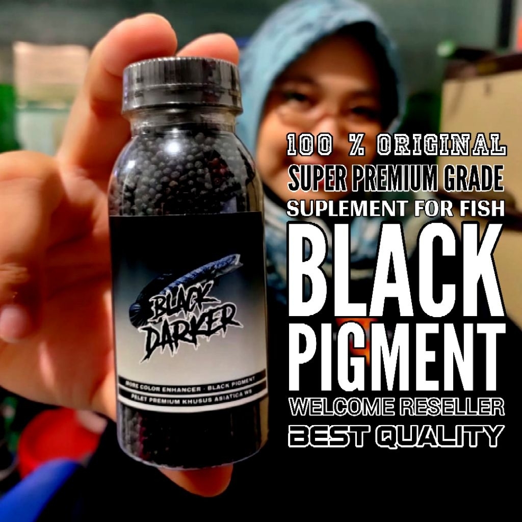 BLACK DARKER PAKAN CHANNA MARU ASIATICA ORIGINAL GFS