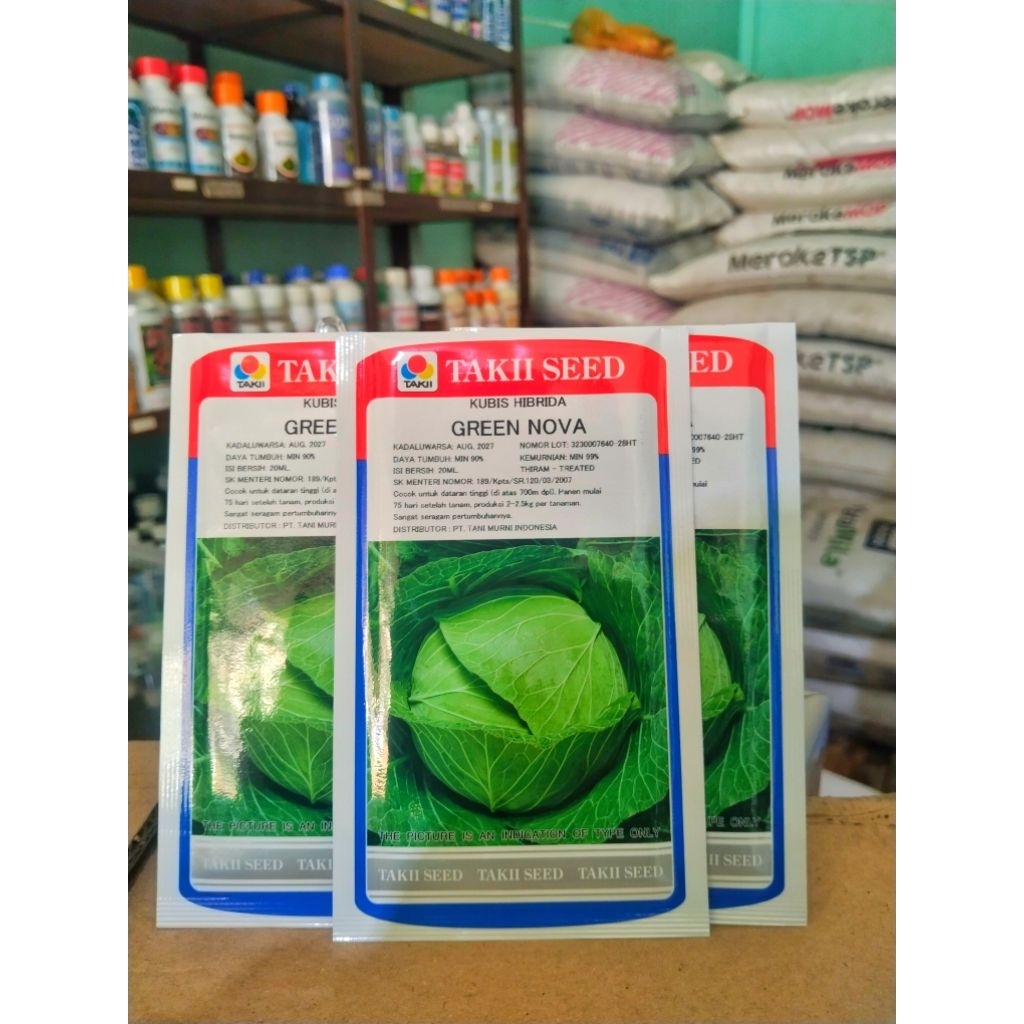 Bibit Kol KUBIS GREEN NOVA