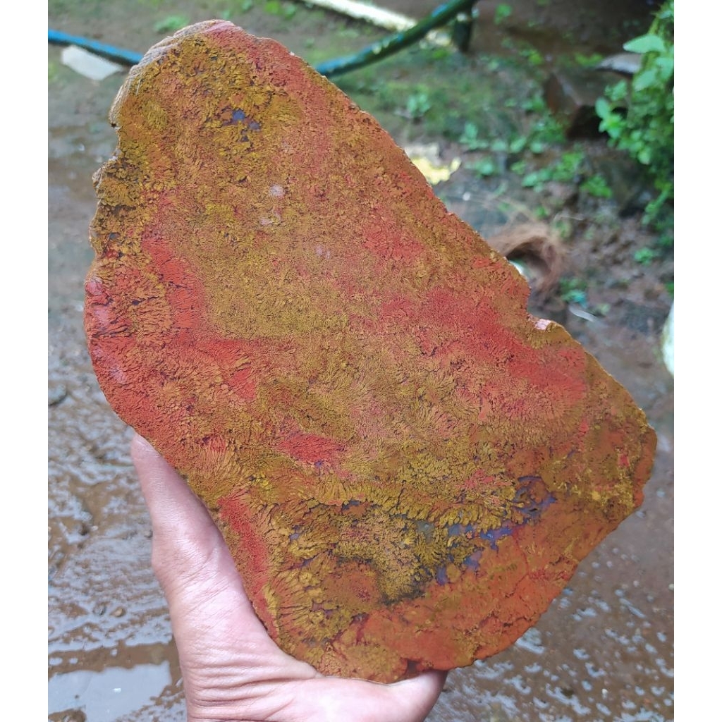 batu akik bahan lempengan pancawarna rande batu garut ci angel berkualitas