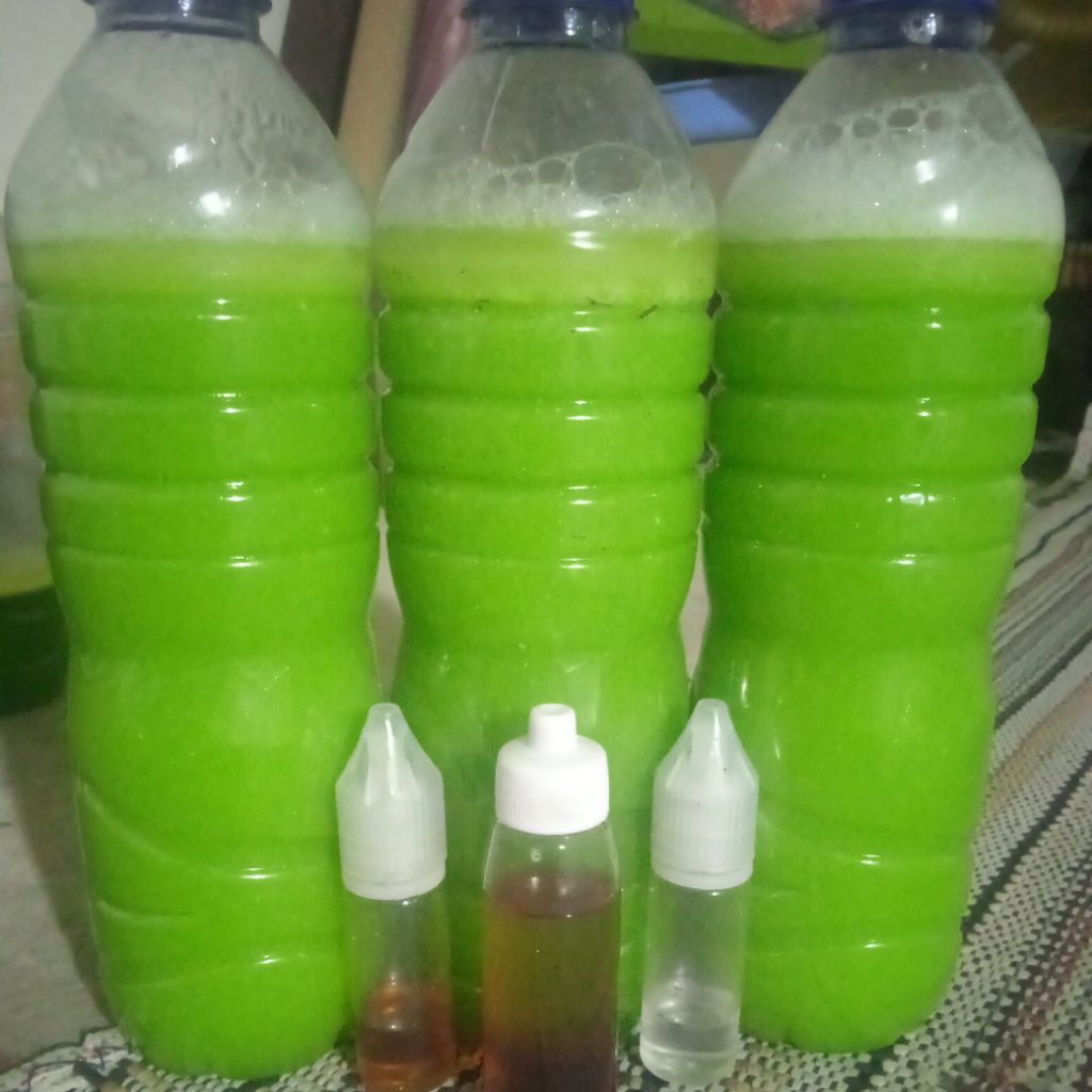 ESEN KEMPROS & PENGUMPUL IKAN NiLA