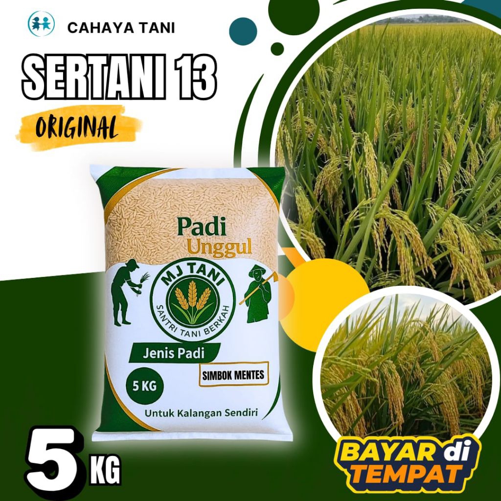 Benih Padi Unggul sertani 13 5kg