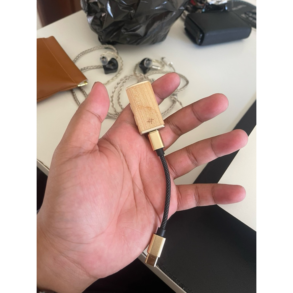 FIIO SNOWSKY MELODY SECOND