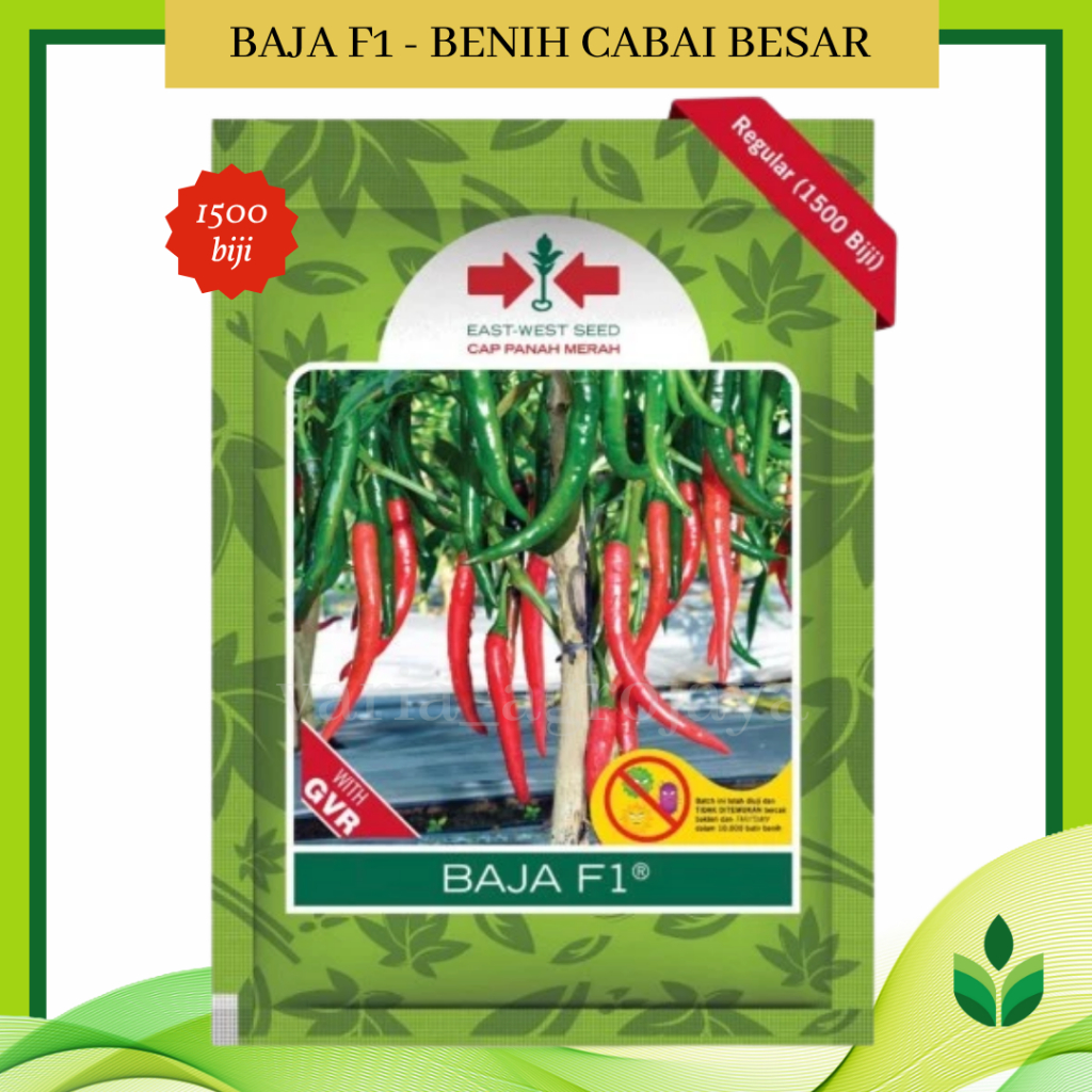 Benih Bibit Cabe Besar Baja F1 1500 Biji - Cap Panah Merah