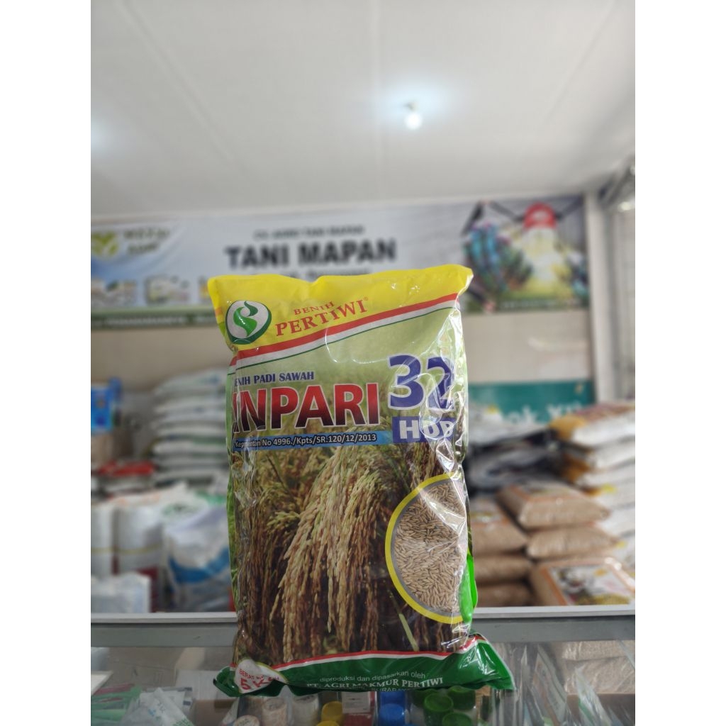Inpari 32 Pertiwi Padi - 5 KG