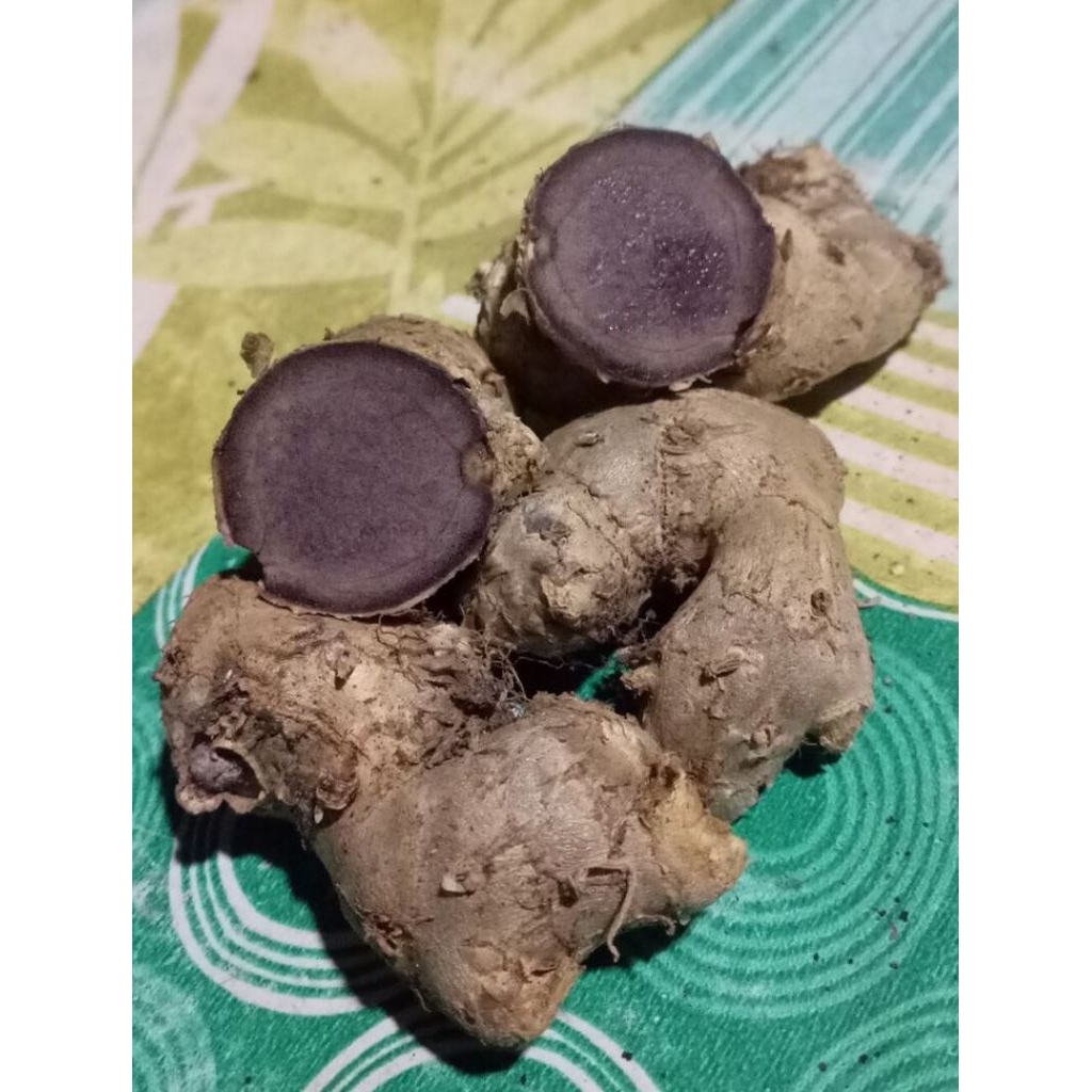 250gram Kunyit Hitam Fresh Herbal Tradisionall