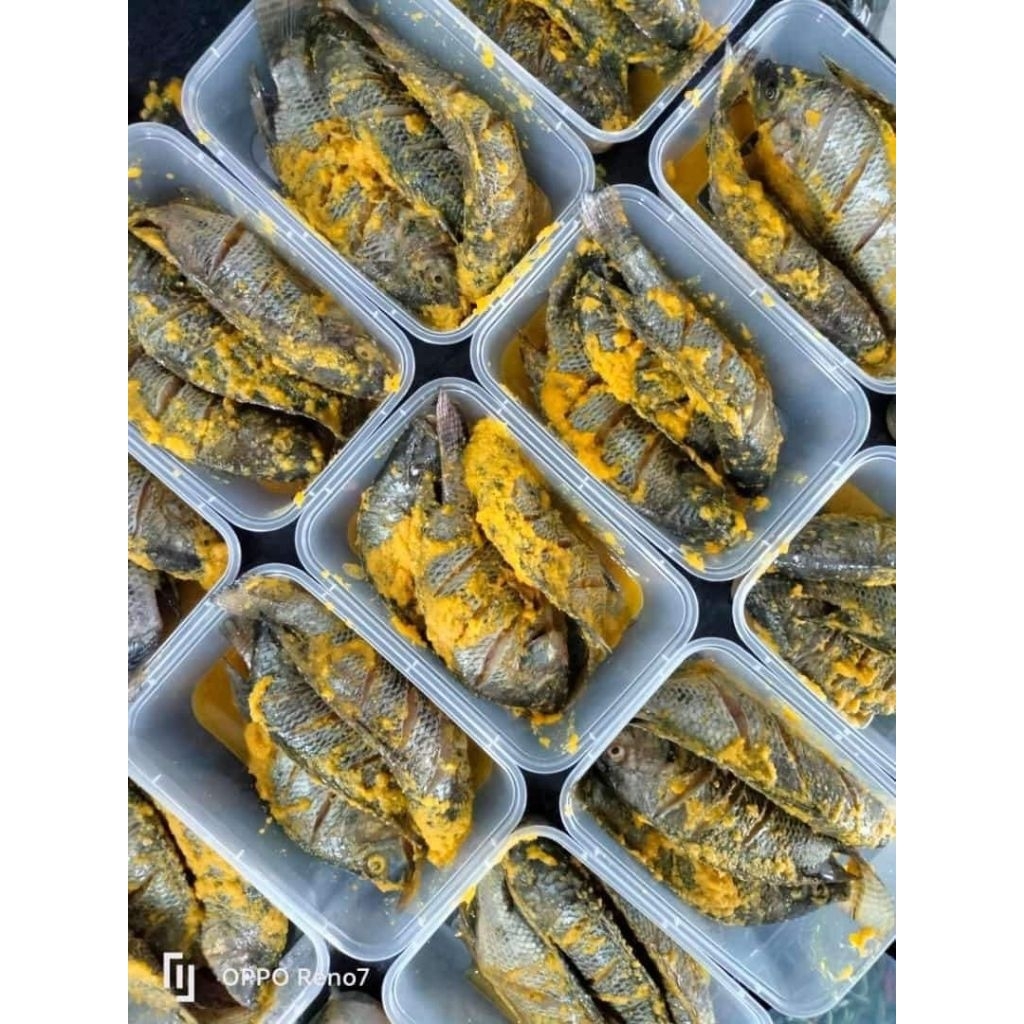 ikan Nila bumbu. ikan nila tobakan nila marinasi