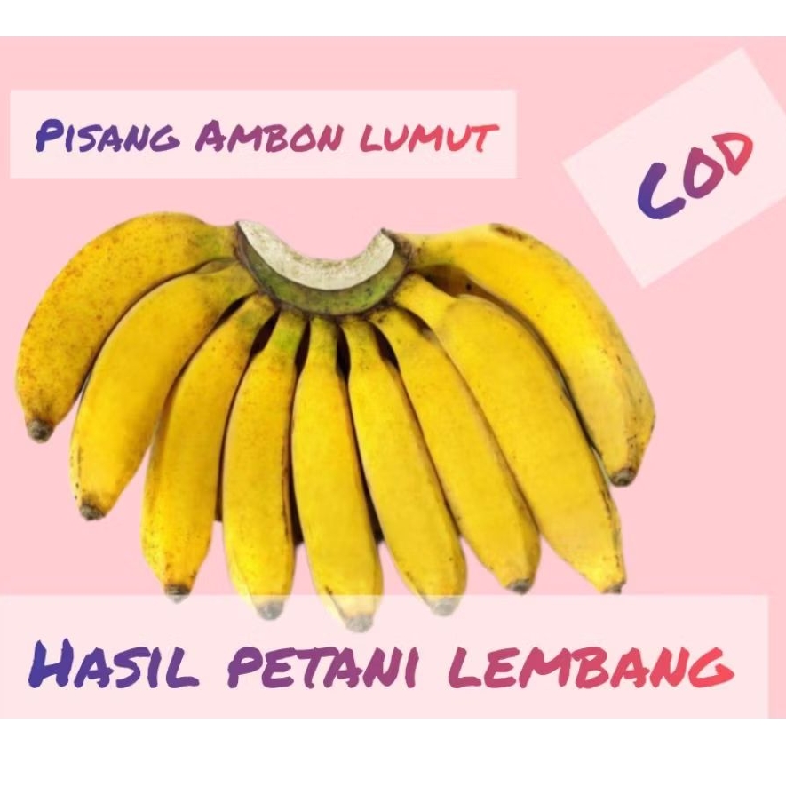 pisang Ambon lumut 1 kg frees hasil petani lembang