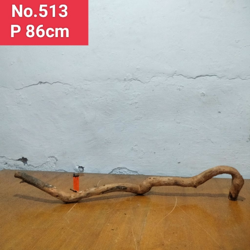 bonggolan akar santigi laut 513 akar dekorasi aquarium aquascape