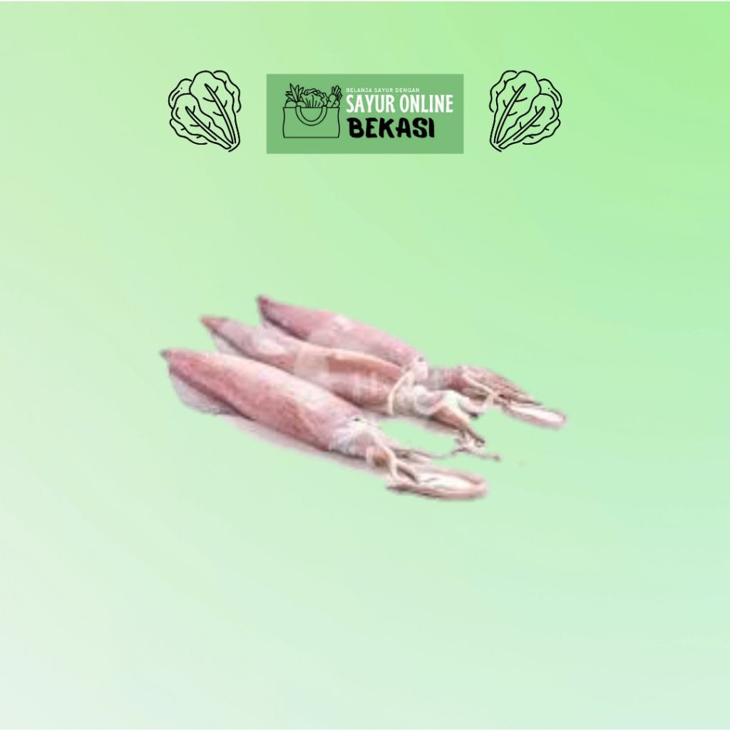 Cumi Sedang Segar 250 gram - 1KG, Kota Bekasi