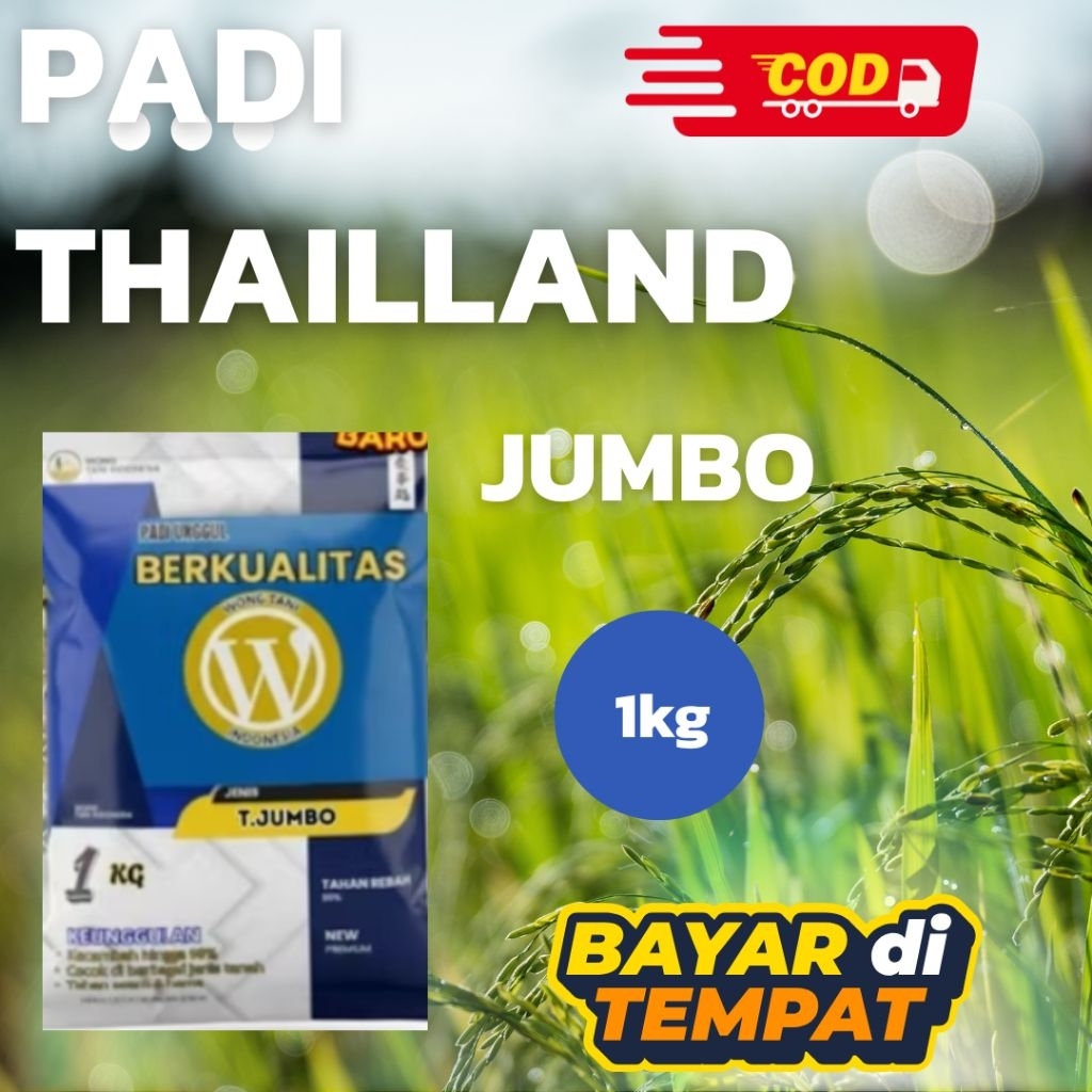 PADI THAILAND JUMBO 1KG