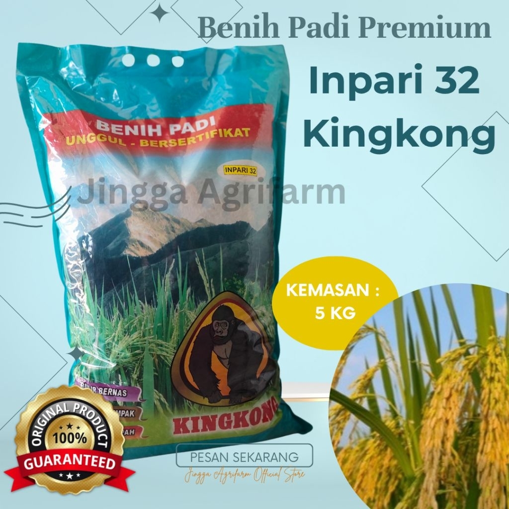Benih Padi Premium Bermutu Tinggi Inpari 32 Kingkong Original